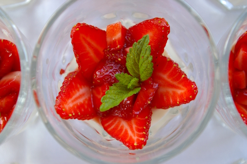 Referenzbild Südafrikanische Botschaft 3